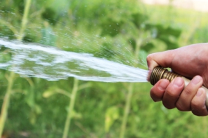 Prendre soin de son jardin l'été - arrosage