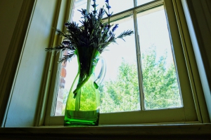 fenêtre vase
