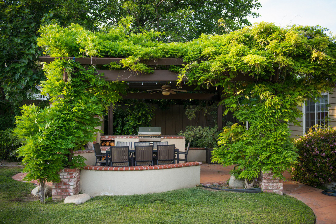 plantes terrasse 2